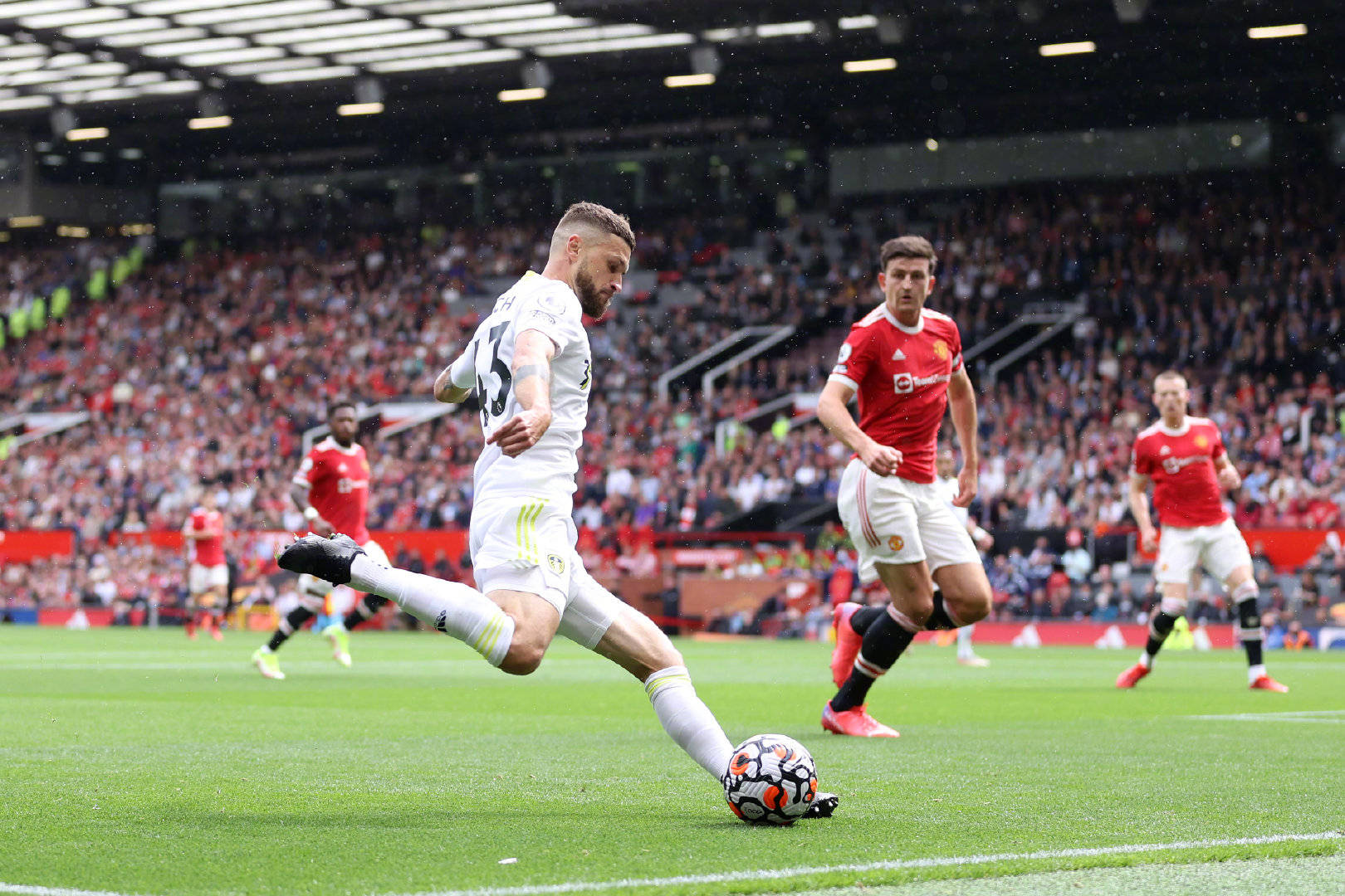 全球的游客 全球的游客